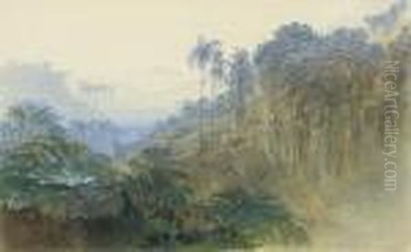 Adam's Peak, Ratnapura, Ceylon (sri Lanka) Oil Painting by Edward Lear