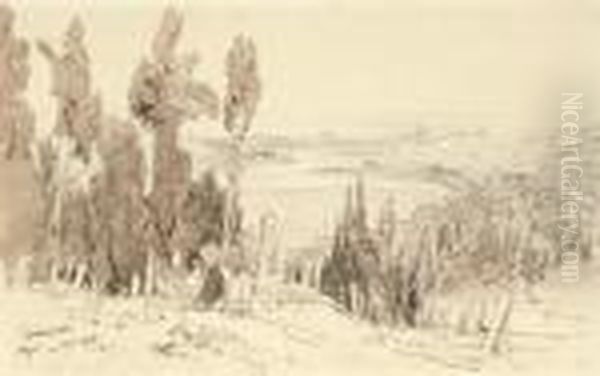 View Of The Turkish Cemetery, Ayoub, Constantinople Oil Painting by Edward Lear