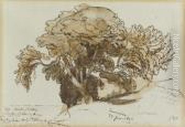 Studio Di Alberi A Taormina, Sicilia Oil Painting by Edward Lear