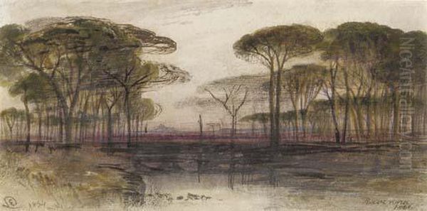 The Pinetum At Ravenna Oil Painting by Edward Lear