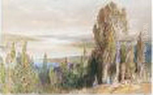 Constantinople From Ayoub Oil Painting by Edward Lear