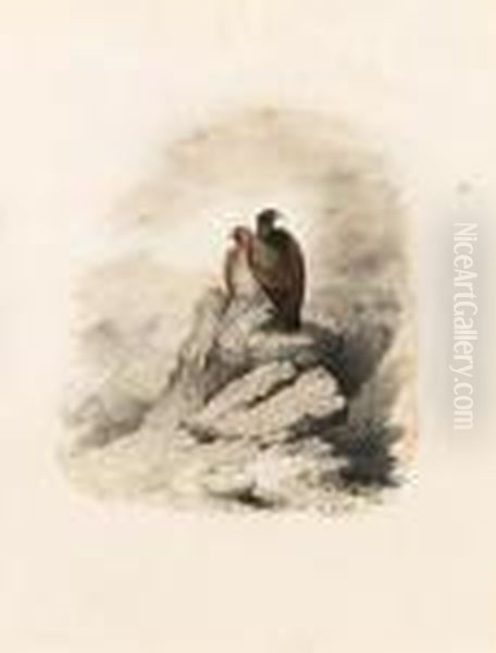 A Pair Of Birds Of Prey On A Rocky Outcrop Oil Painting by Edward Lear