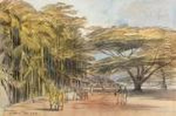 View Of Ratnapura, Ceylon Oil Painting by Edward Lear