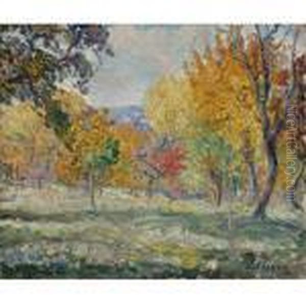 Paysage Aux Arbres Oil Painting by Henri Lebasque