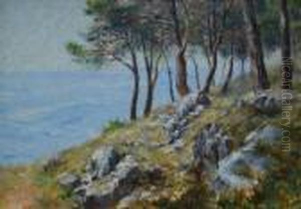 Coastal Landscape, From A Rocky Hillside Oil Painting by Henri Lebasque