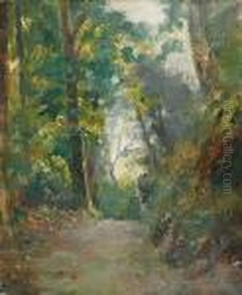 Sous-bois Oil Painting by Albert Lebourg