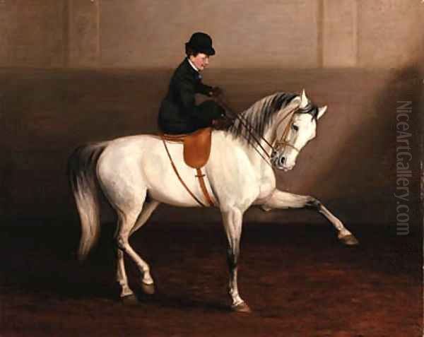 The Morning Lesson, A Lady on her Grey Horse Oil Painting by Alexander Pope