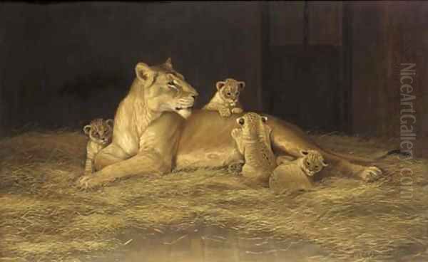 Lioness and her cubs Oil Painting by Alexander Pope