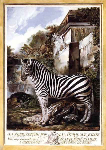 Zebra Oil Painting by Luis Paret Y Alcazar