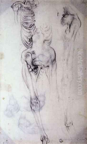 Anatomical Oil Painting by (Jacopo Carucci) Pontormo