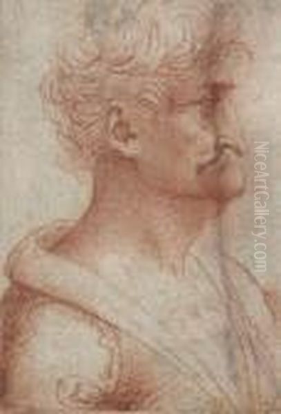 Profil D'homme Oil Painting by Leonardo Da Vinci