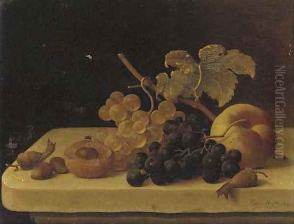 Grapes, Acorns, an Apricot and a Peach on a Ledge with a Fly Oil Painting by Emilie Preyer