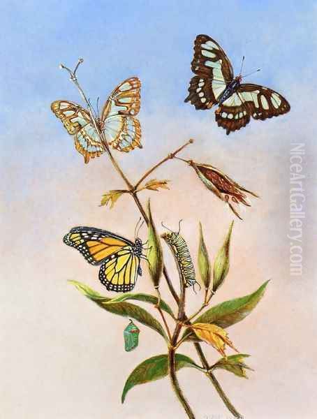 Butterflies Oil Painting by Titian Ramsay Peale