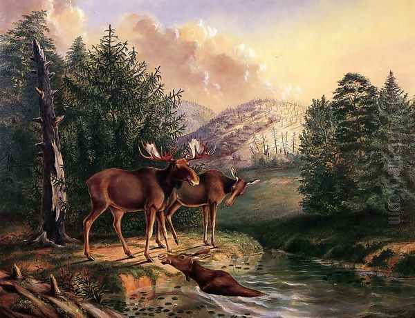 Moose in Maine Oil Painting by Titian Ramsay Peale