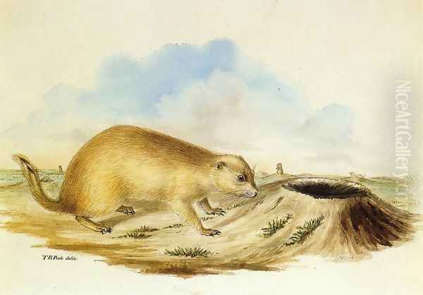 Prairie Dog Oil Painting by Titian Ramsay Peale