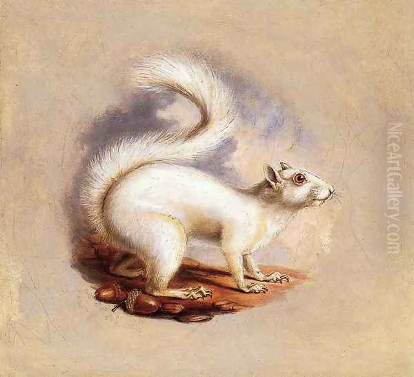 White Squirrel Oil Painting by Titian Ramsay Peale