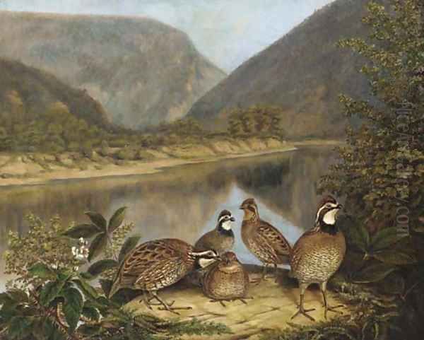 Five Bobwhites at the Delaware Water Gap 2 Oil Painting by Titian Ramsay Peale