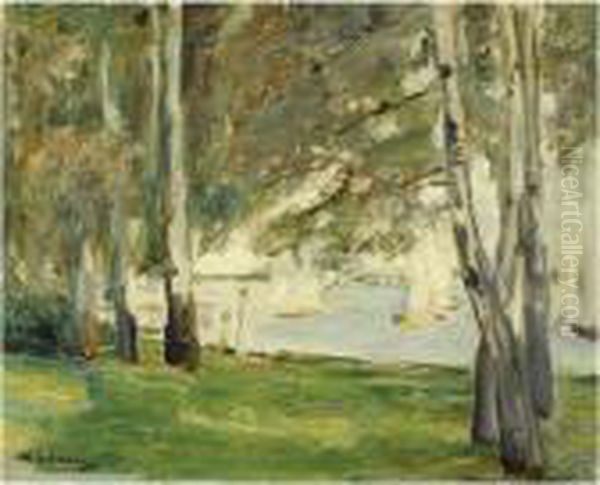 Birken Am Wannseeufer Nach Osten Oil Painting by Max Liebermann