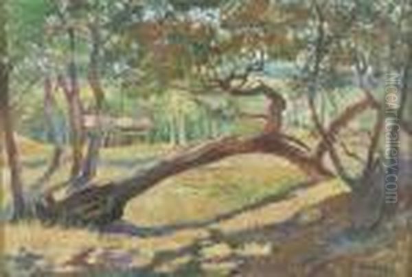 Sonnige Waldlandschaft Mit Umgesturztem Baum. Oil Painting by Ulvi Liegi