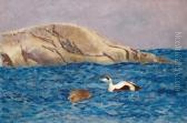 Eiders By An Islet Oil Painting by Bruno Andreas Liljefors