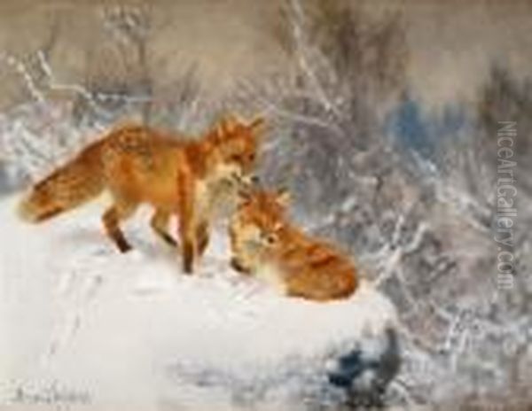 Two Foxes In Winter Landscape Oil Painting by Bruno Andreas Liljefors