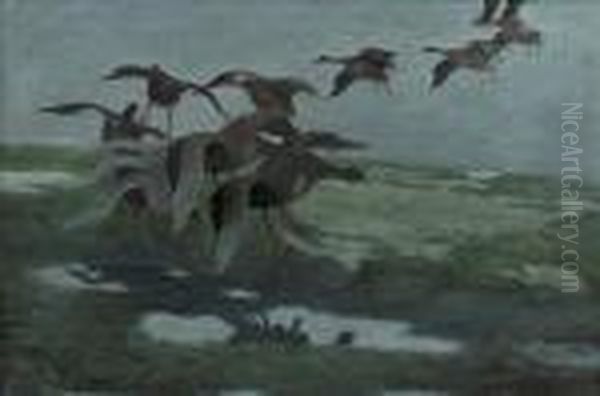 Ducks Descending Into A Marsh Oil Painting by Bruno Andreas Liljefors