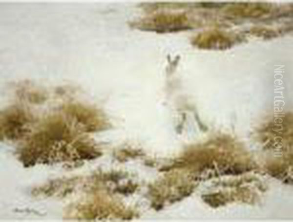 Vinterhare Bland Tuvor (the Snow Hare) Oil Painting by Bruno Andreas Liljefors