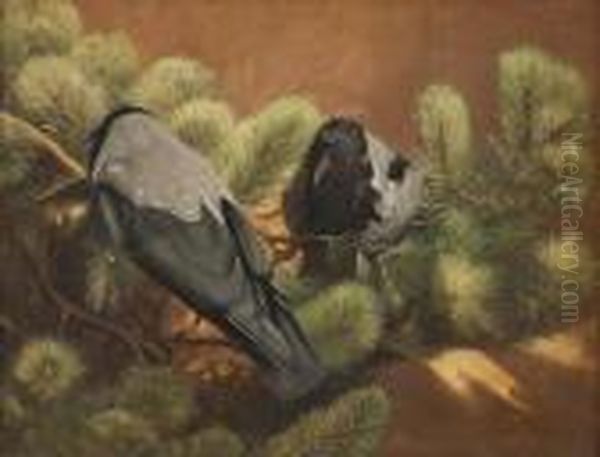 Vogelpaar Im Nadelgeast Oil Painting by Bruno Andreas Liljefors