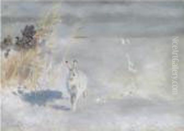 Vinterhare (snow Hare) Oil Painting by Bruno Andreas Liljefors