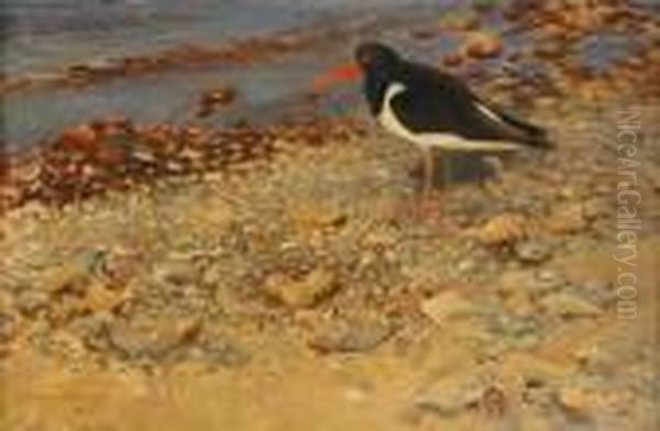 Strandskata Vid Boet Oil Painting by Bruno Andreas Liljefors