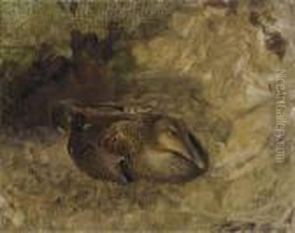 Study Of A Wild Duck Oil Painting by Bruno Andreas Liljefors