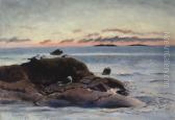 Sildemaker Pa Klippe Ved Solnedgang (black-backed Gulls On A Rock At Sunset) Oil Painting by Bruno Andreas Liljefors