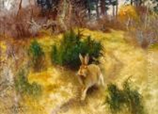 Hare I Hostlandskap Oil Painting by Bruno Andreas Liljefors