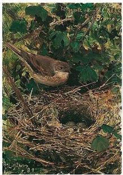 Lovsangare I Boet (willow Warbler In Her Nest) Oil Painting by Bruno Andreas Liljefors