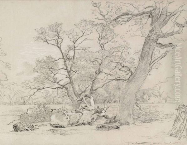 A Felled Oak, Windsor Great Park Oil Painting by John Linnell