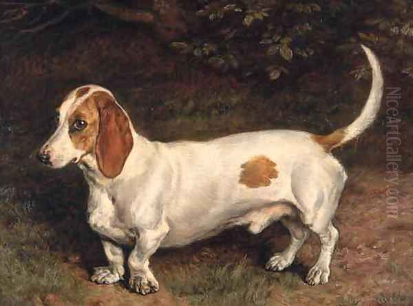 A Favourite Dachshund Oil Painting by Frank Paton