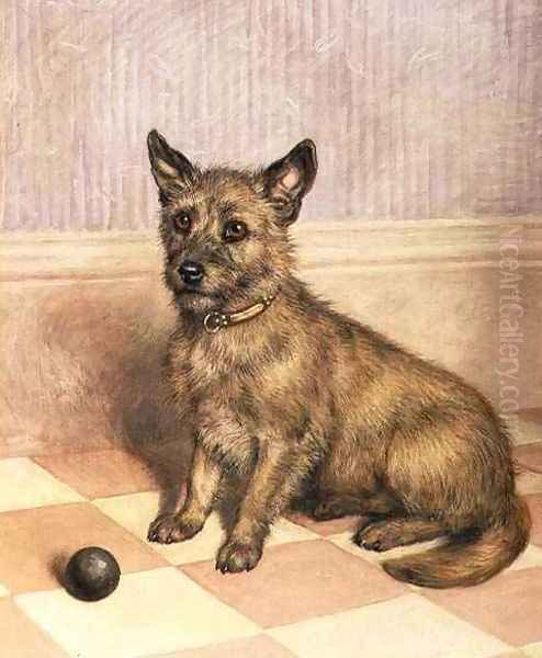 Waiting to Play, a Cairn terrier with a ball Oil Painting by Frank Paton