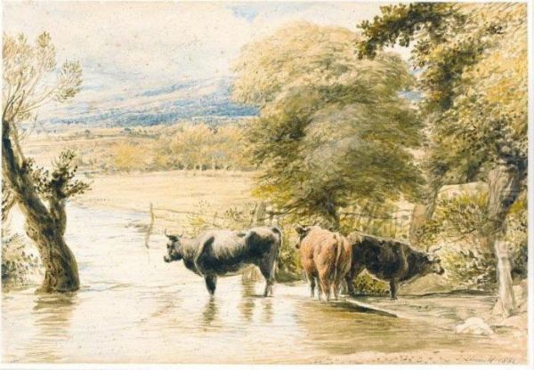 Cattle Crossing A Stream Oil Painting by John Linnell