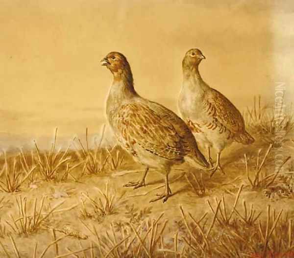 Partridge Oil Painting by Frank Paton