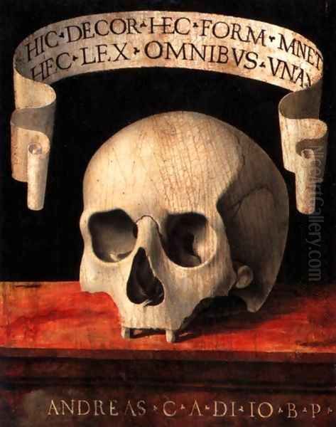 Memento Mori (verso) Oil Painting by Andrea Previtali