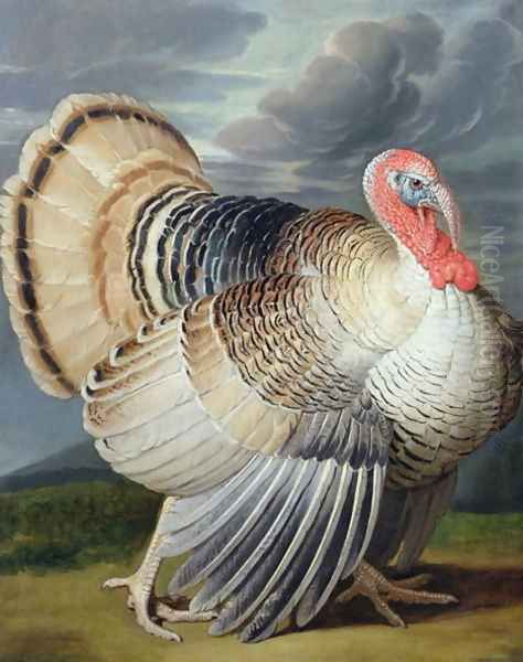 Turkey Oil Painting by Johann Wenzel Peter