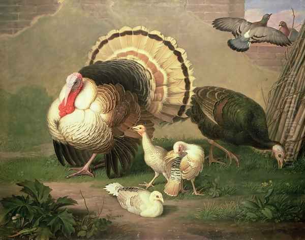 Turkeys Oil Painting by Johann Wenzel Peter