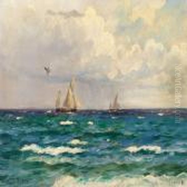 Bright Summer Day With Ships In The Sound Oil Painting by Carl Locher