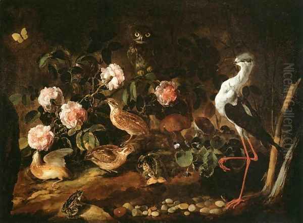 Still-Life with an Owl and an Ibis Oil Painting by Paolo Porpora