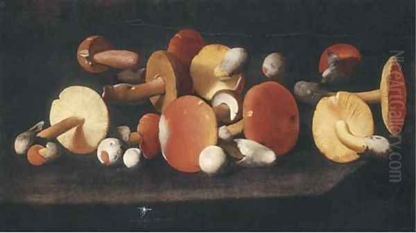 Boletus, russulas and other mushrooms on a ledge Oil Painting by Paolo Porpora