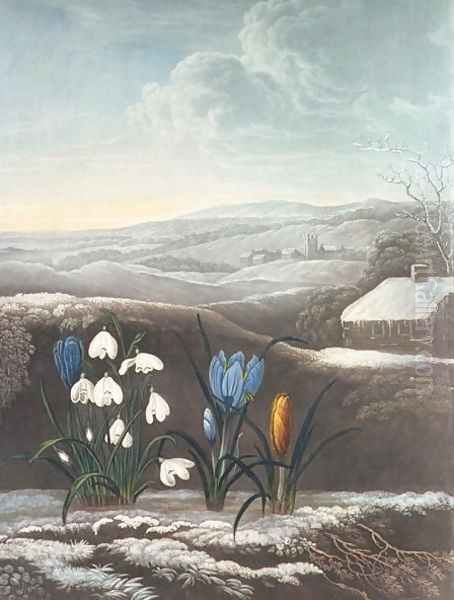 The Snowdrop, engraved by Ward, probably early 19th century Oil Painting by Abraham Pether