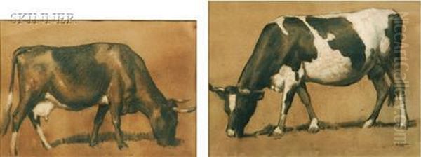 Studies Of Cows Oil Painting by Robert Henry Logan