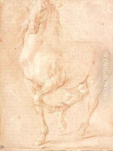 Study of a Horse Oil Painting by Pierre Puget