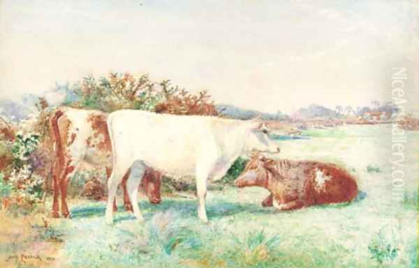 Cattle in a meadow Oil Painting by John Pedder