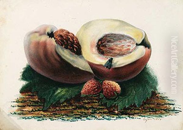 Albaricoque Y Fresa Oil Painting by Eugenio Lucas Velasquez